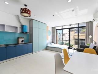 Cho thuê căn hộ 1pn rộng 50m2  thang máy  ở đinh công tráng, quận 1