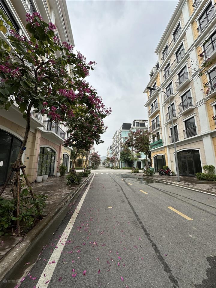 Bds liền kề sát biển bán giá 2019 để thu vốn