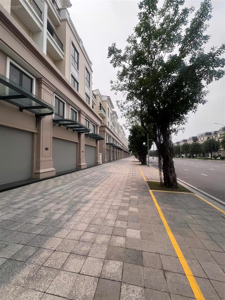 Đại lộ bốn mùa 51m dt 100m2, cơ hội đầu tư giai đoạn đầu vinhomes ocean park 3 chỉ ~19.7 tỷ