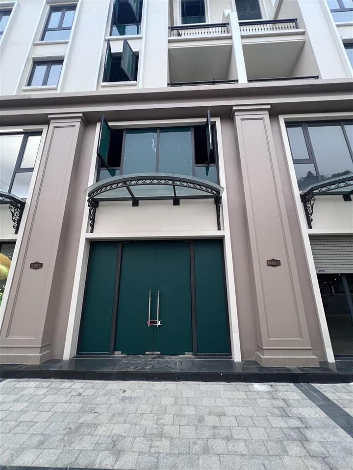 Đại lộ bốn mùa 51m dt 100m2, cơ hội đầu tư giai đoạn đầu vinhomes ocean park 3 chỉ ~19.7 tỷ