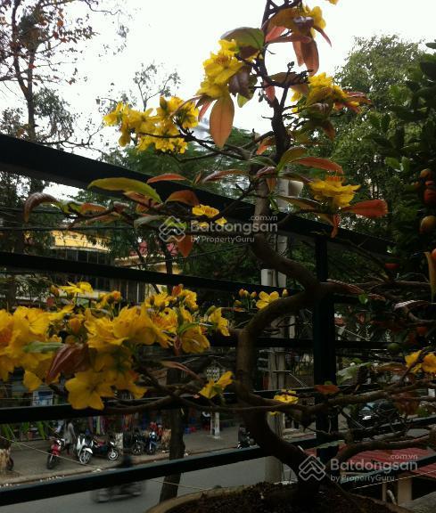 Bán nhà phố nguyễn thượng hiền