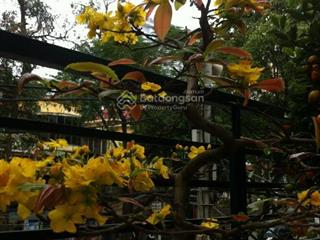 Bán nhà phố nguyễn thượng hiền