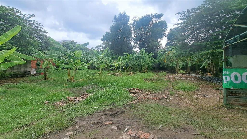 Kẹt nh bán gấp đất cần giuộc, long an. dt 30x130m ( 3800m2 ) 2000m2 thổ cư giá 20 tỷ