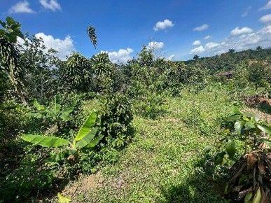 Đất nghỉ dưỡng view hồ tại Bảo Lộc, mức giá từ 1,25 tỷ đồng mỗi nền