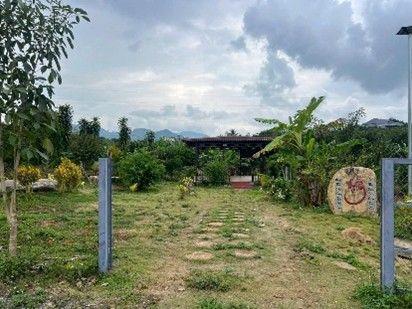 Đất nghỉ dưỡng view hồ tại Bảo Lộc, mức giá từ 1,25 tỷ đồng mỗi nền