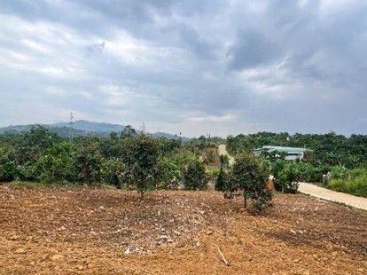 Đất nghỉ dưỡng view hồ tại Bảo Lộc, mức giá từ 1,25 tỷ đồng mỗi nền