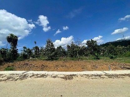 Đất nghỉ dưỡng view hồ tại Bảo Lộc, mức giá từ 1,25 tỷ đồng mỗi nền