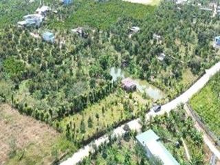 Đất nghỉ dưỡng view hồ tại Bảo Lộc, mức giá từ 1,25 tỷ đồng mỗi nền