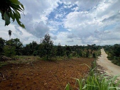 Đất nghỉ dưỡng view hồ tại Bảo Lộc, mức giá từ 1,25 tỷ đồng mỗi nền