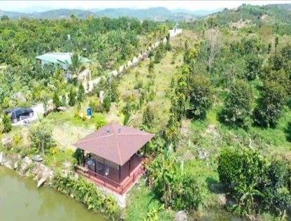 Đất nghỉ dưỡng view hồ tại Bảo Lộc, mức giá từ 1,25 tỷ đồng mỗi nền