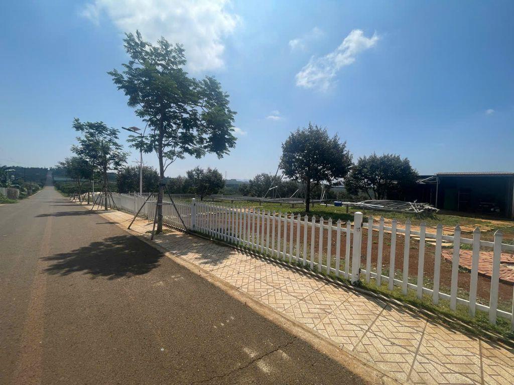 Đất 140 m² Lâm Đồng, mặt tiền đường 12m, gần cao tốc