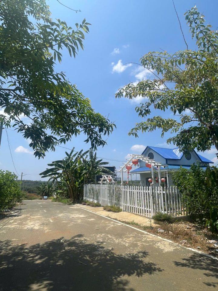 Bán lô đất 300m2 650 triệu tại Lâm Đồng