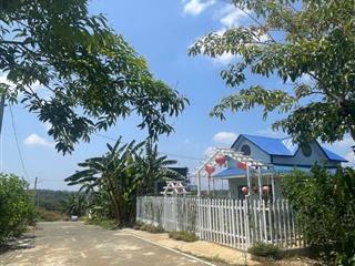 Bán lô đất 300m2 650 triệu tại Lâm Đồng