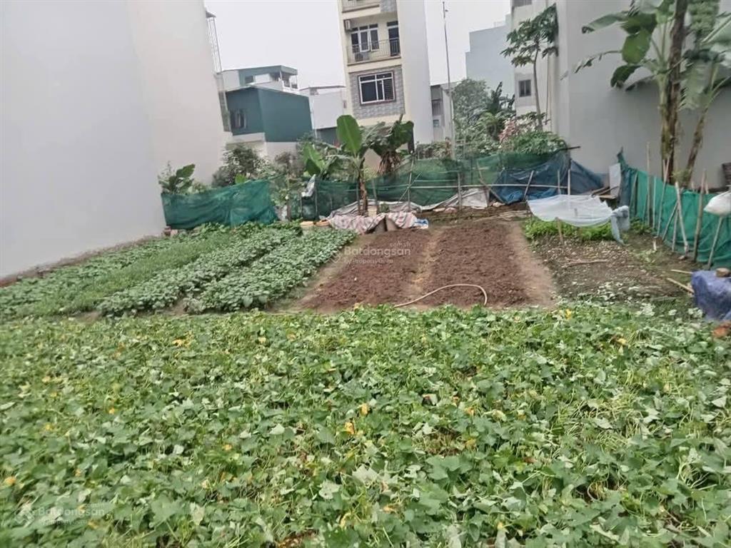 Bán nhanh lô đất 120m đã tách 2 sổ tại ngọc trục đại mỗ gần lê quang đạo kéo dài chỉ 7,x/lô