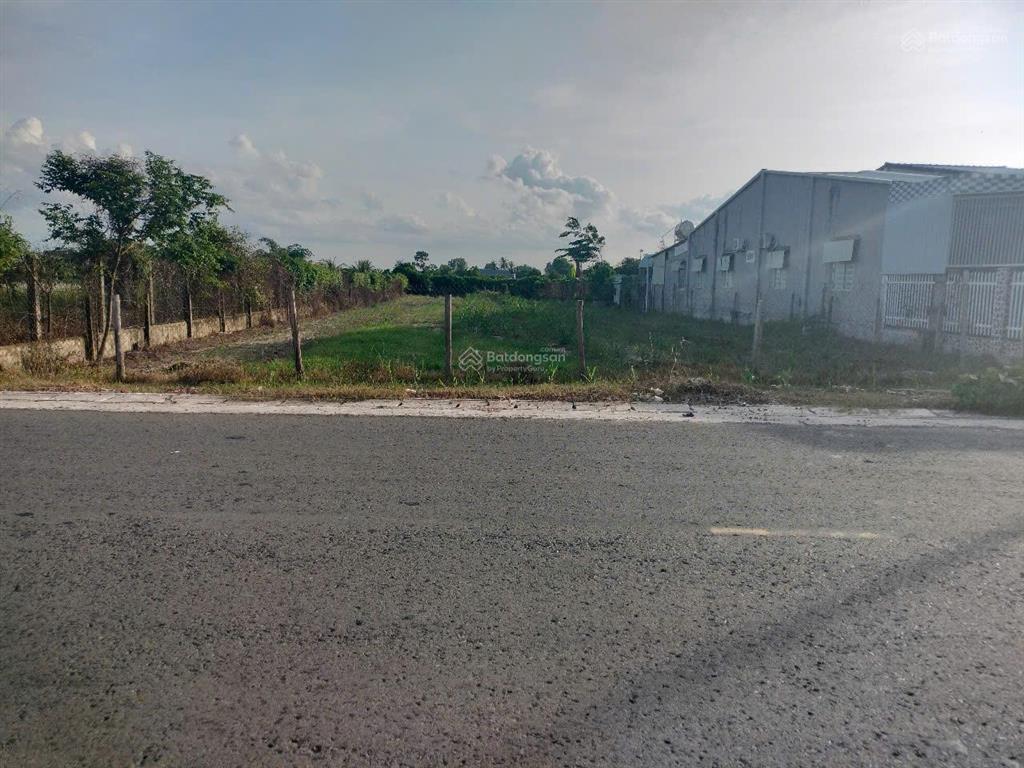 Cần bán đất mặt tiền tỉnh lộ 786, xã long chữ, bến cầu, tây ninh