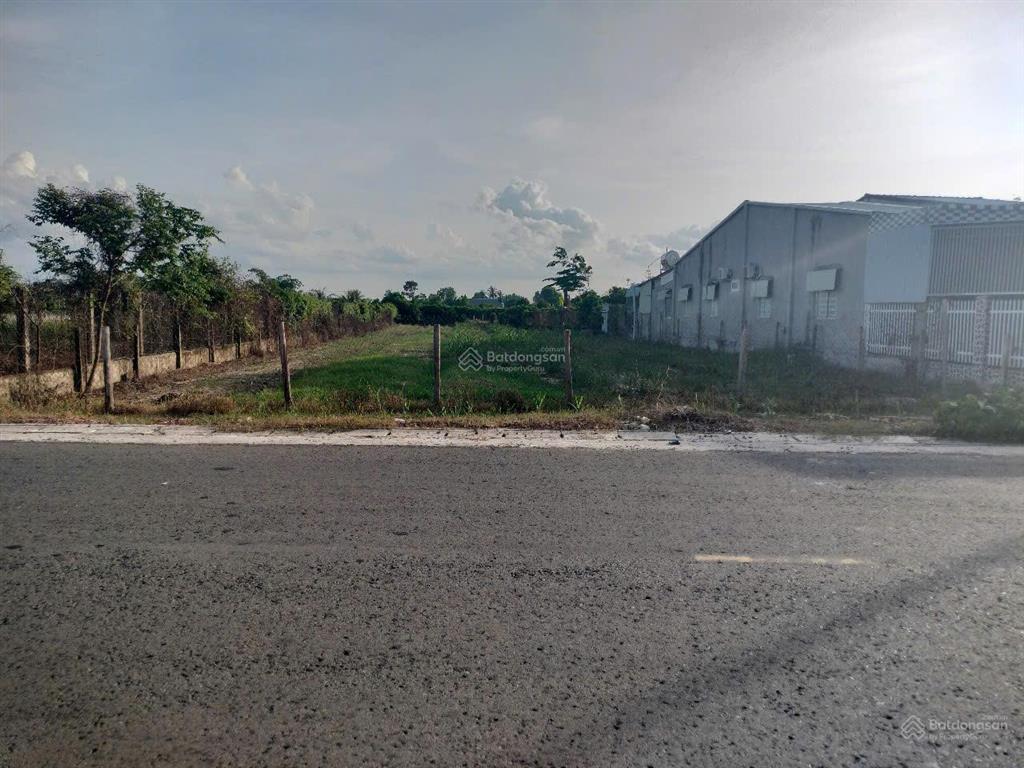 Cần bán đất mặt tiền tỉnh lộ 786, xã long chữ, bến cầu, tây ninh