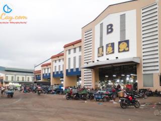 Bán sạp rau,củ chợ đầu mối bình điền