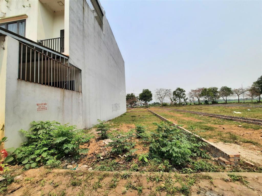 Dt 100m² khu phân lô bắc hạ, quang tiến, sóc sơn hà nội