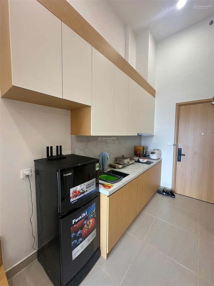 Chính chủ cho thuê căn studio tòa a8 view nhạc nước, pháo hoa vào ở ngay