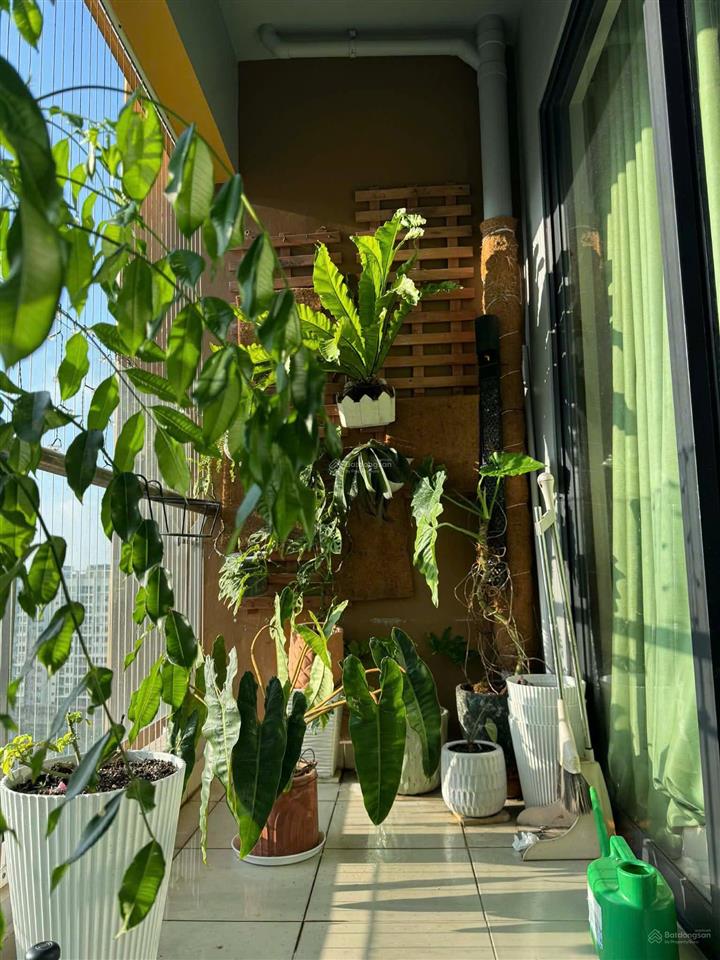 Cần bán căn 72m2 hướng đông nhà mới view đẹp đã có sổ hồng giá 4.2 tỷ tặng kèm nội thất dính tường