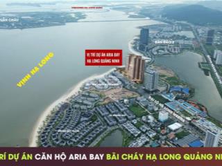 Bán gấp condotel view đẹp tại aria bay tower, 65 triệu, 35 m2, hạ long, quảng ninh