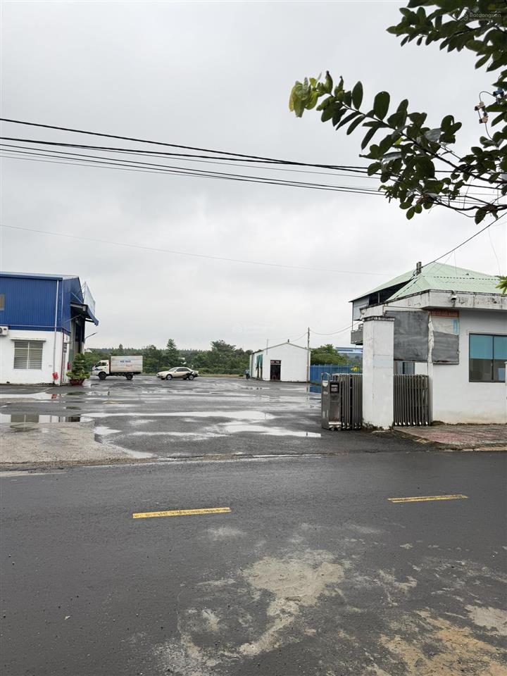 Bán đất thái thuận thành  bình phước
