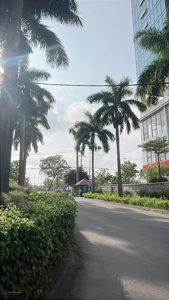 Nh.à to, đường to, gi.á nhỏ.
5x18, 5 tầng vuông đét, lộ nhựa 12 m, cách n v linh 100m. nhỉnh 8t.ỷ