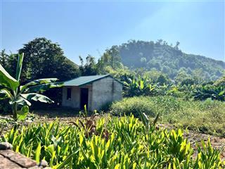 Hàng xóm xanh villa  lô đất 782m có 550m thổ cư  gần đhqg  ga metro chỉ 500m