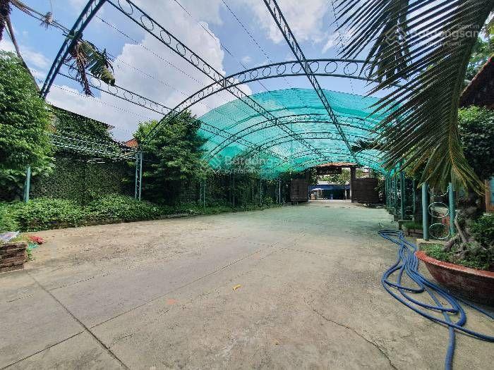 Tam bình, 240 tỷ, 14.000m2, nhà hàng sân vườn, tam bình tđ, quy hoạch đất giáo dục