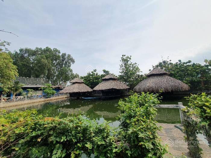 Tam bình, 240 tỷ, 14.000m2, nhà hàng sân vườn, tam bình tđ, quy hoạch đất giáo dục