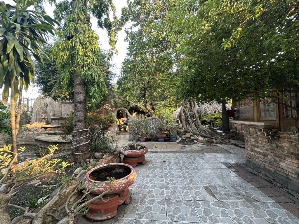 Tam bình, 240 tỷ, 14.000m2, nhà hàng sân vườn, tam bình tđ, quy hoạch đất giáo dục