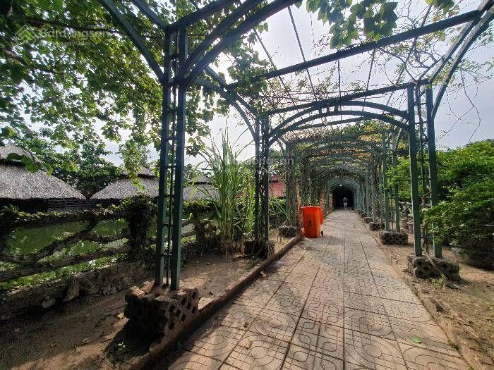 Tam bình, 240 tỷ, 14.000m2, nhà hàng sân vườn, tam bình tđ, quy hoạch đất giáo dục