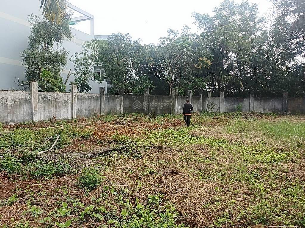 Lê tấn bê, ngộp bank. 2.282m² full thổ cư, chỉ 105 tỷ, chủ ở nước