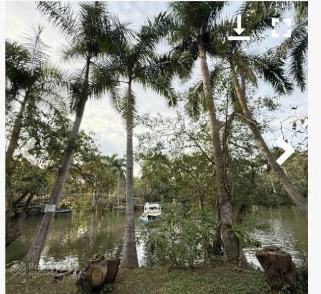 Kẹt tiền bán gấp, chỉ 10 triệu/1m2 đất mt rộng 20m, (145 tỷ, 15000m2 mt long phước)