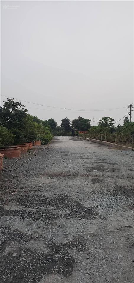 Ngộp bank bán rẻ 84 tỷ, biệt thự 18.750m, bình chánh, 4 tầng