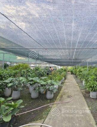 600 tỷ. 6000m, qh xd 32 tầng, 2 hầm, nguyễn duy trinh, 3 mt đất vàng hiếm có!