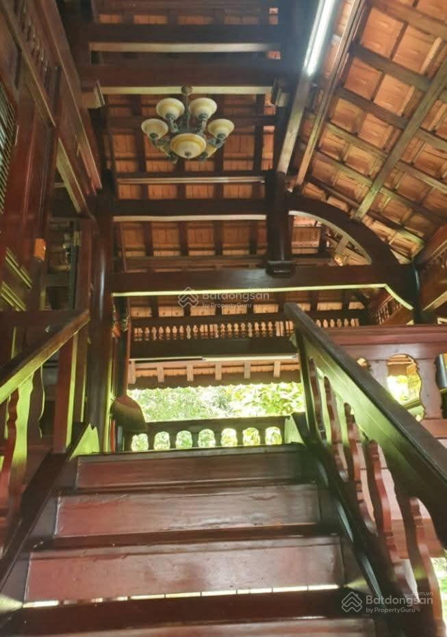 Biệt thự sân vườn gỗ lim quý, cây sop,tân an hội, dt 13.381m2, , ( 300m2 thổ cư) nhỉnh 50 tỷ