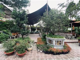 Củ chi hàng hiếm ,ngộp đất + mô hình kinh doanh hồ bơi cafe nhà hàng sân vườn | củ chi