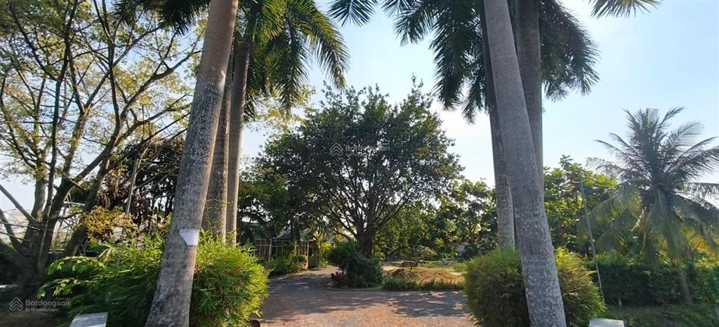 Củ chi, bến du thuyền, khu nghỉ dưỡng, 71,837m2, đẹp như 1 bức tranh
