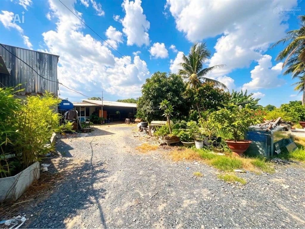 Lê tấn bê, ngộp bank. bán lỗ, 128 tỷ, 4000m2 mt lớn, sát akira city, đất trồng lúa, xdct