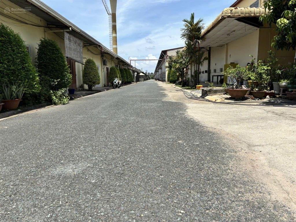 1.400 tỷ, 166.000m2 (800mx220m), bến cát, bình dương, công ty bán
