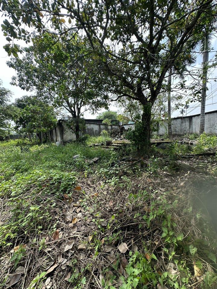 Aly12 chỉ 25 tỷ, 1.110m2, đường 9, long phước, công nhận 880m2, 811m2 full thổ, 64m2 đất cln