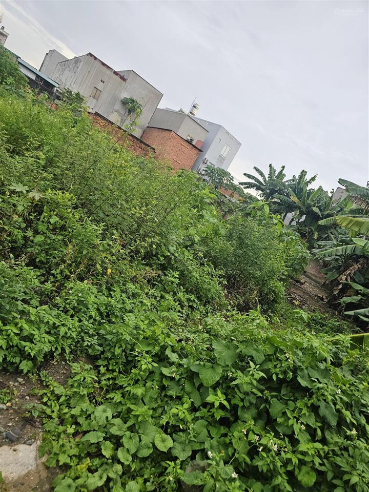 Chỉ 110 tỷ. 6.000m2 mt đường phước thiện, p. long thạnh mỹ, tp. thủ đức