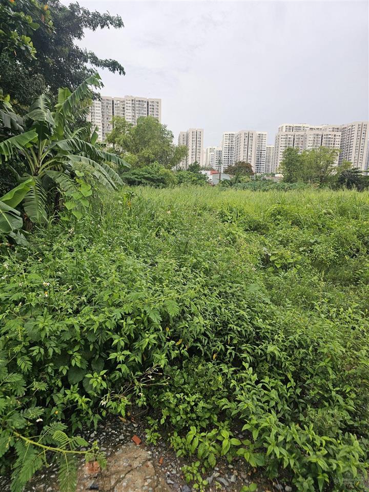 Chỉ 110 tỷ. 6.000m2 mt đường phước thiện, p. long thạnh mỹ, tp. thủ đức