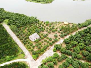 Bán đất mỹ an, lục ngạn, bắc giang 400m thổ cư tách sẵn 5 sổ, tổng 2355 m2 chào 2,36 tr/ m2