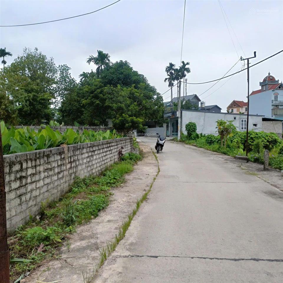 Bán mảnh đất 256m2 tại xã nam phương tiến, chương mỹ, hà nội  giá tốt