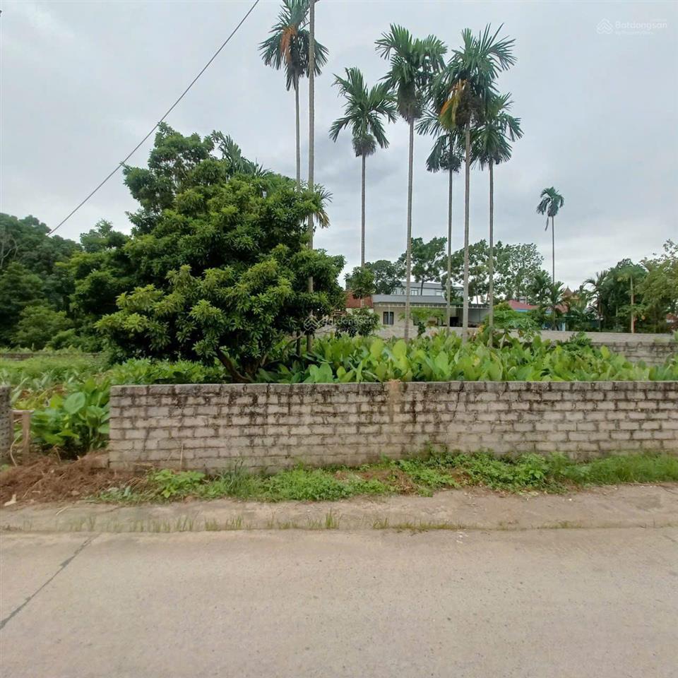 Bán mảnh đất 256m2 tại xã nam phương tiến, chương mỹ, hà nội  giá tốt