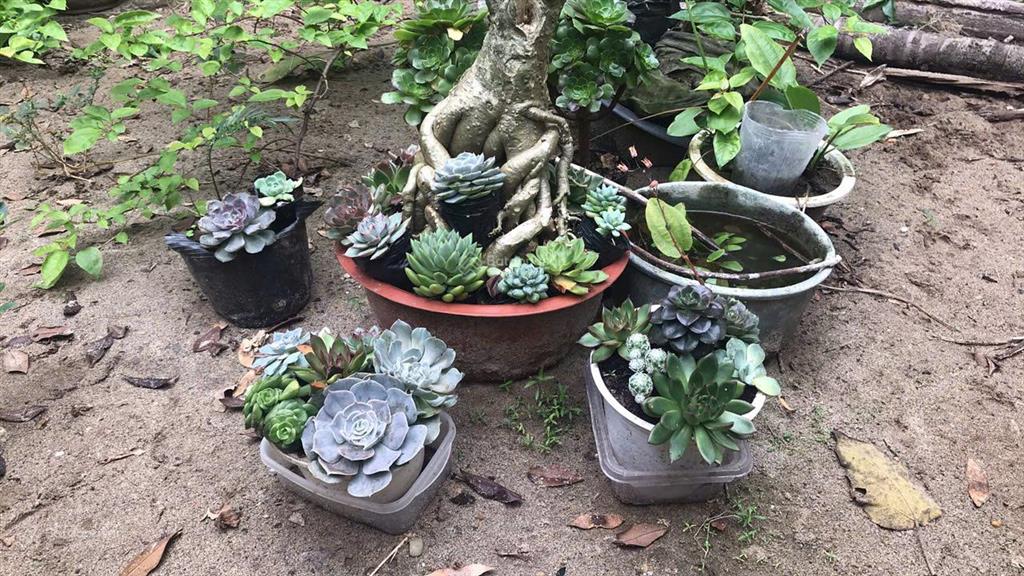 Bán 96m full thổ cư, ngọc thụy, long biên, 10,5 tỷ, ô tô ngủ, sổ đỏ két, có tường nhà c4,