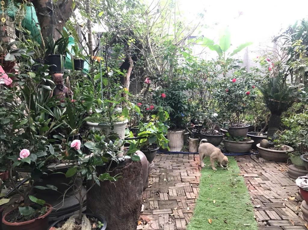 Bán 96m full thổ cư, ngọc thụy, long biên, 10,5 tỷ, ô tô ngủ, sổ đỏ két, có tường nhà c4,