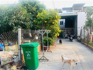 Đất hxh đường tây hoà phước long a q9 giá 11,6 tỷ/ 175m2